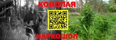 спиды Будённовск