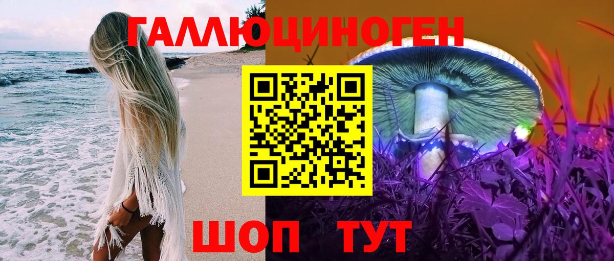 Галлюциногенные грибы Psilocybine cubensis Чернушка