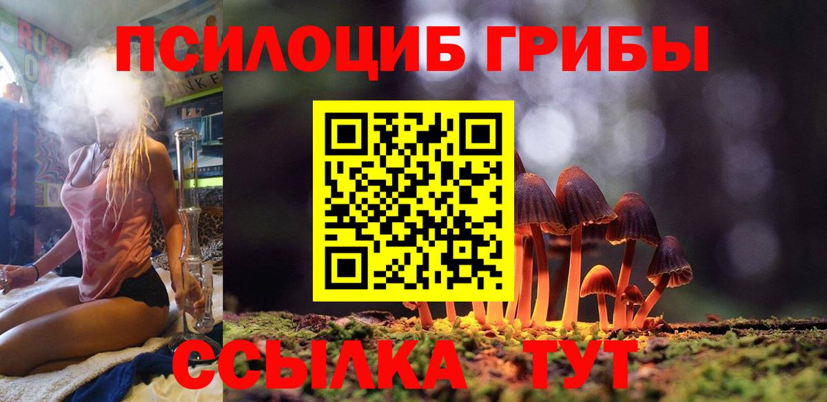 Псилоцибиновые грибы мицелий  Галлюциногенные грибы Psilocybine cubensis  Вход с VPN  Чернушка 
