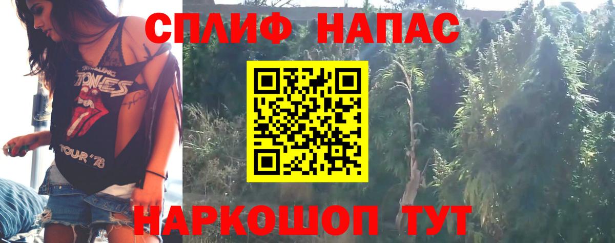 Чернушка  Конопля Bruce Banner  Вход с VPN  Марихуана семена  Канабис тримм 